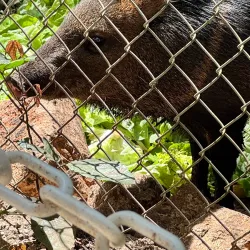 Nosara Wildlife Sanctuary - Nosara