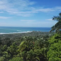 Nosara Wildlife Sanctuary - Nosara