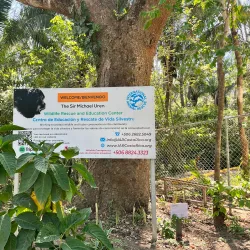 Nosara Wildlife Sanctuary - Nosara