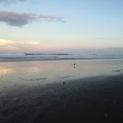 Ostional Wildlife Refuge - Nosara