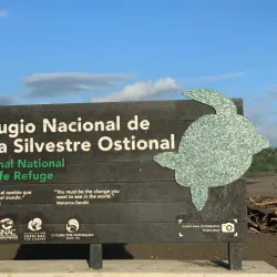 Ostional Wildlife Refuge - Nosara