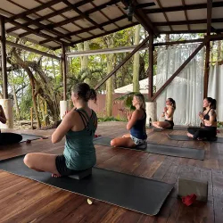 Pura Vida Adventures - Nosara