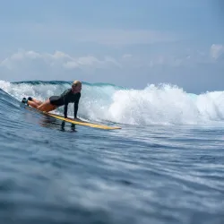 Pura Vida Adventures - Nosara