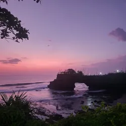 Pura Vida Adventures - Nosara