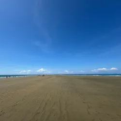 Ballena Marine National Park - Ojochal