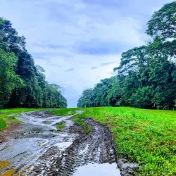 Corcovado National Park (nearby) - Ojochal