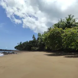 Corcovado National Park (nearby) - Ojochal