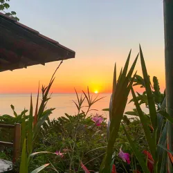 La Cusinga Eco Lodge - Ojochal