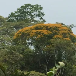 Ojochal Village - Ojochal