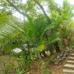 Ojochal Village - Ojochal