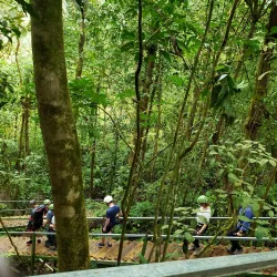 Osa Canopy Tour - Ojochal