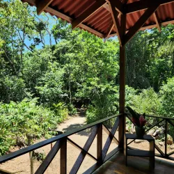 Pacuare Nature Preserve - Ojochal