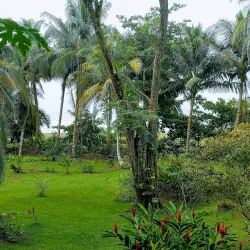 Pacuare Nature Preserve - Ojochal