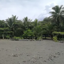 Pacuare Nature Preserve - Ojochal