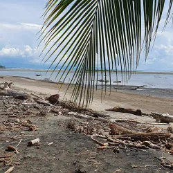 Playa Tortuga - Ojochal