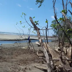 Playa Tortuga - Ojochal
