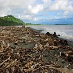 Playa Tortuga - Ojochal