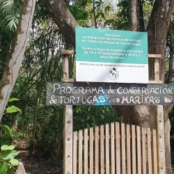 Playa Tortuga - Ojochal