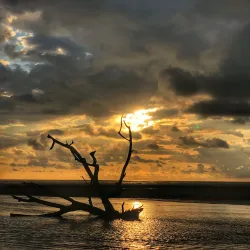Playa Tortuga - Ojochal