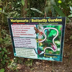 Uvita Waterfall - Ojochal