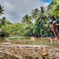 Ventanas Beach - Ojochal