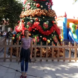 Central Park of Palmares - Palmares