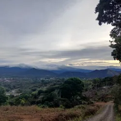 Mirador de Palmares - Palmares