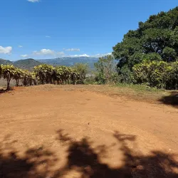 Mirador de Palmares - Palmares