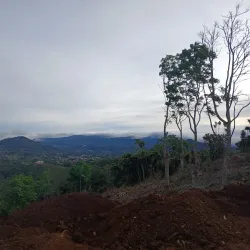 Mirador de Palmares - Palmares