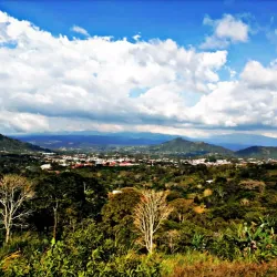 Mirador de Palmares - Palmares