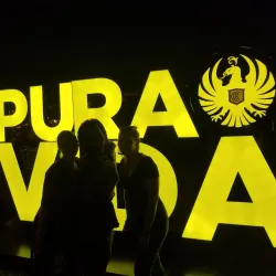 Palmares Festival - Palmares