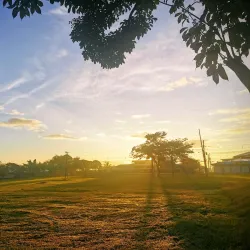 Palmares Festival - Palmares