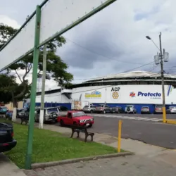 Palmares Festival - Palmares