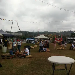 Palmares Festival - Palmares