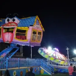 Palmares Festival - Palmares