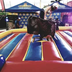 Palmares Festival - Palmares