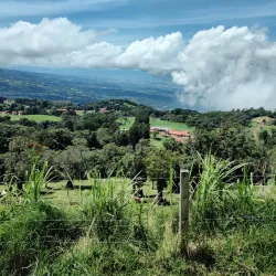 Poás Volcano National Park - Palmares