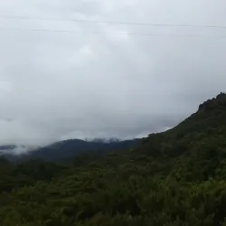 Cerro de la Muerte - Perez Zeledon