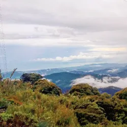 Cerro de la Muerte - Perez Zeledon