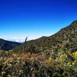 Chirripó National Park - Perez Zeledon