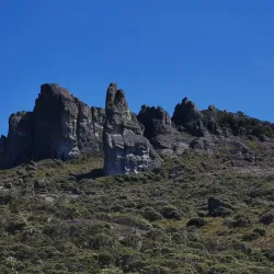 Chirripó National Park - Perez Zeledon