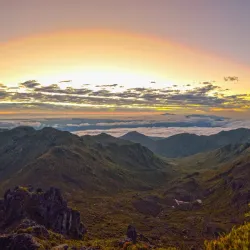 Chirripó National Park - Perez Zeledon