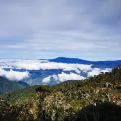 Chirripó National Park - Perez Zeledon