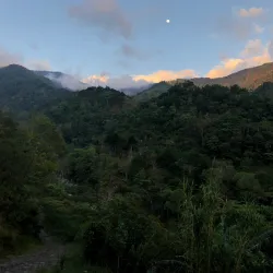 Coffee Plantations Tours - Perez Zeledon