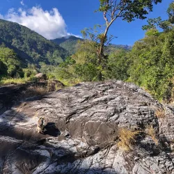 Coffee Plantations Tours - Perez Zeledon