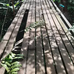 El Salto Waterfall - Perez Zeledon