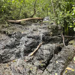 El Salto Waterfall - Perez Zeledon