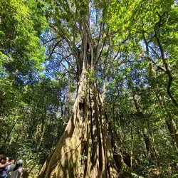 La Amistad International Park - Perez Zeledon