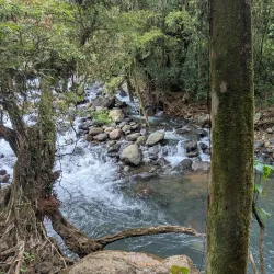 Los Cusingos Wildlife Refuge - Perez Zeledon