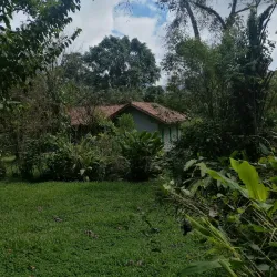 Los Cusingos Wildlife Refuge - Perez Zeledon